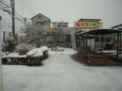 雪の展示場