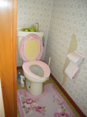 トイレの改修工事完了