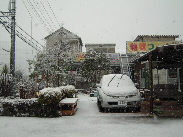 雪です