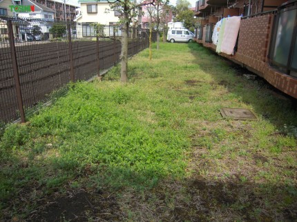 雑草の防止施工前